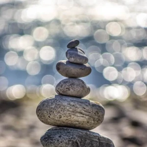 Play Wellness Challenge and learn about the basics of a good health practice!